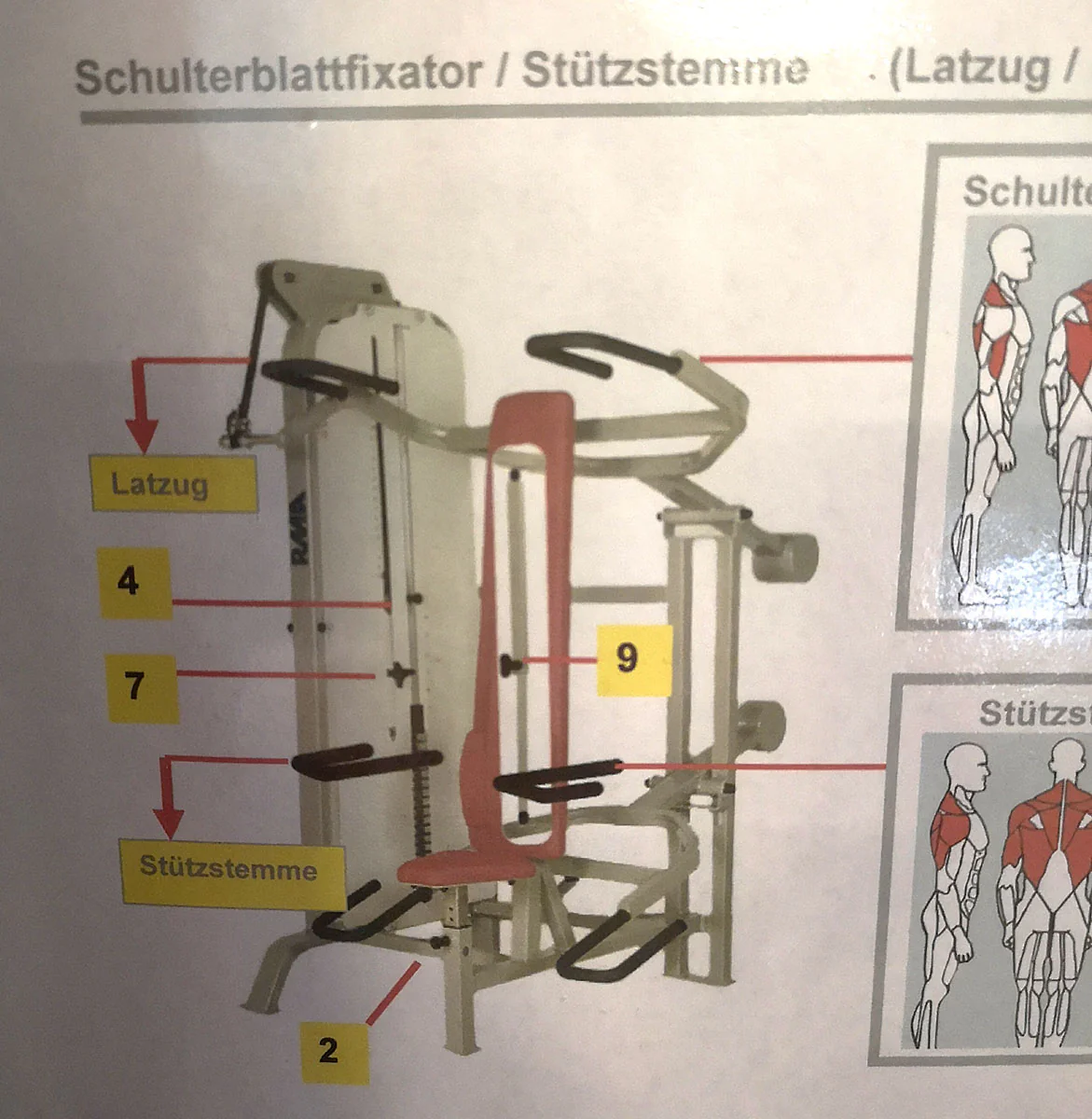 Vorschaubild 1